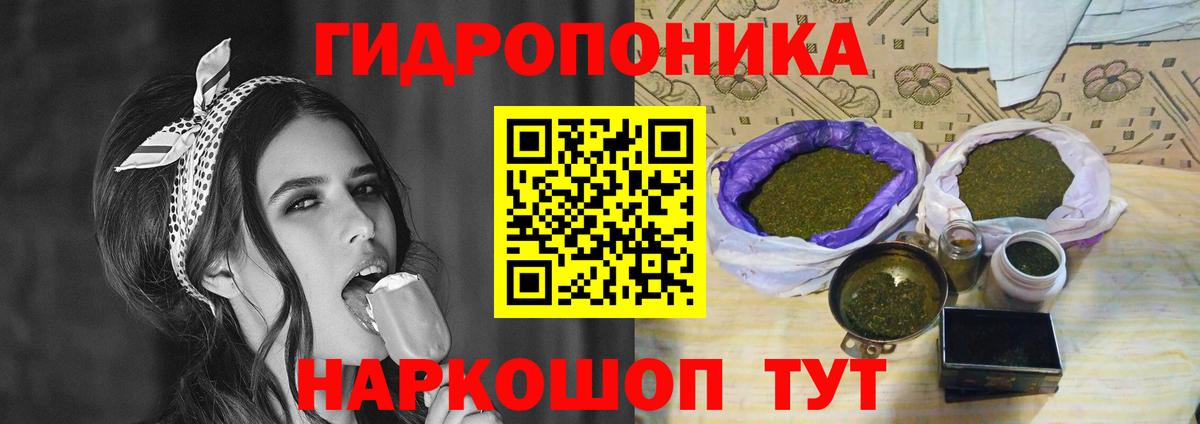 Марихуана план Буйнакск